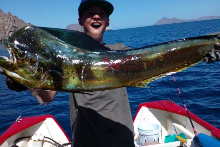a person standing next to a body of water