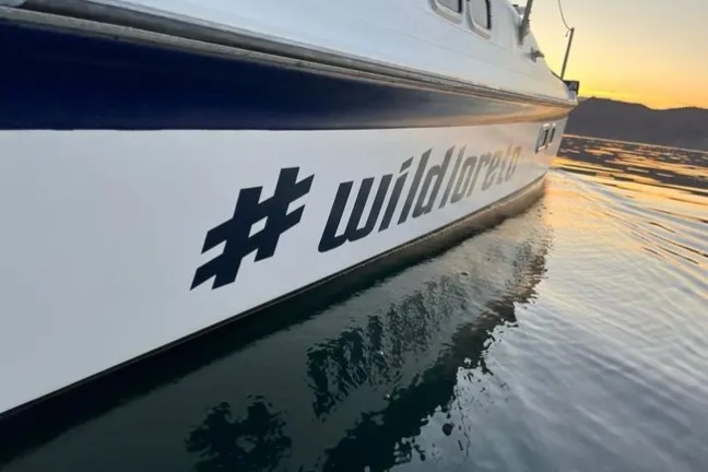 White boat with '#wildgreat' on side during sunset.