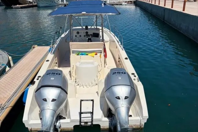 Motorboat with twin engines moored in a marina, hills and other boats in background.