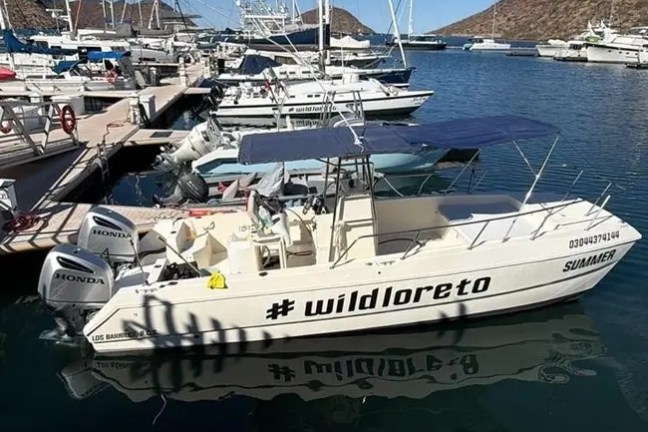 Small motorboat with #wildloreto docked at a marina with other boats.