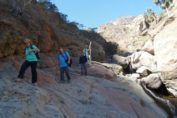 a group of people walking on a rocky hill