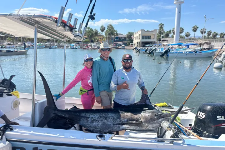 people fishing a marlin in loreto mexico