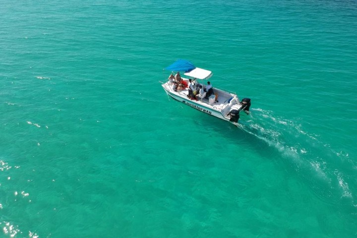 Small motorboat with blue canopy on turquoise ocean water, people on board.